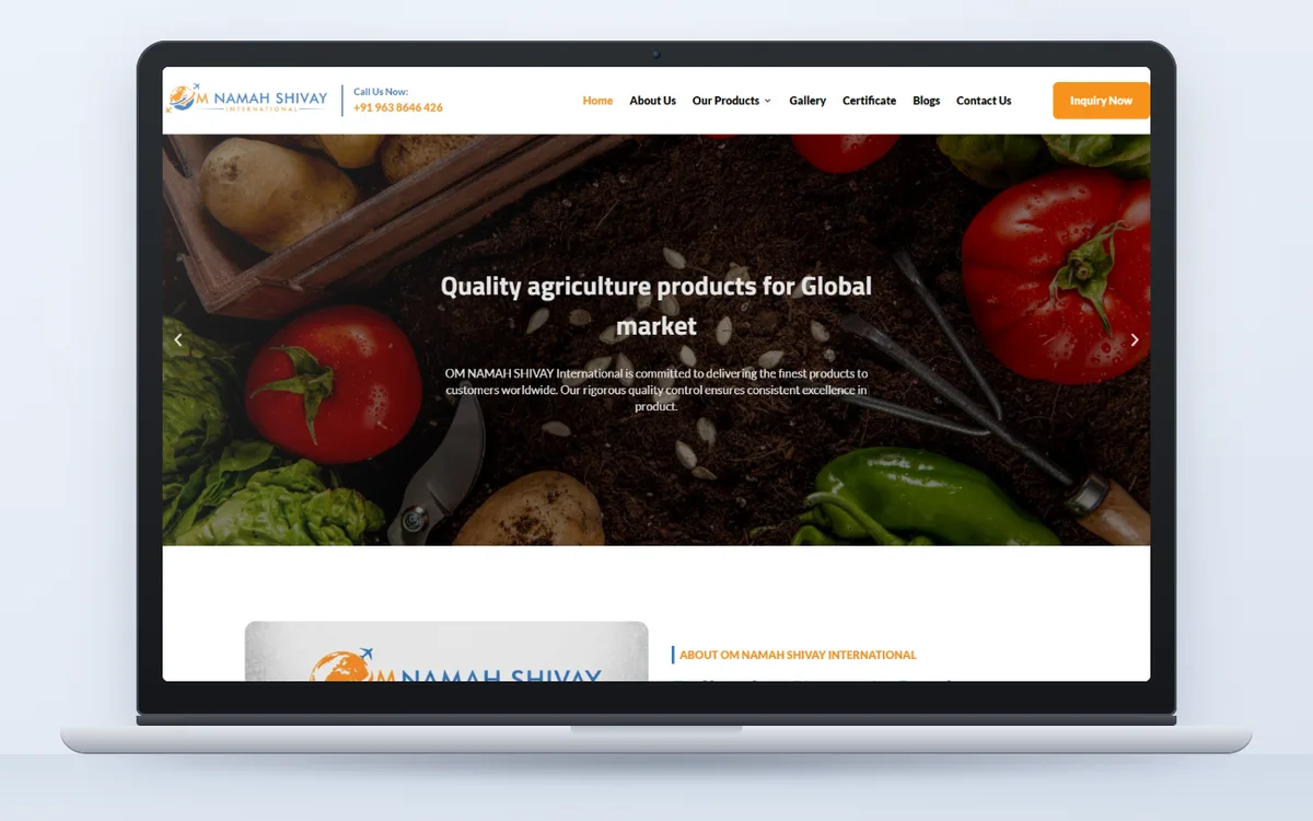 Om Namah Shivay International - Website by Avdhoot Solutions